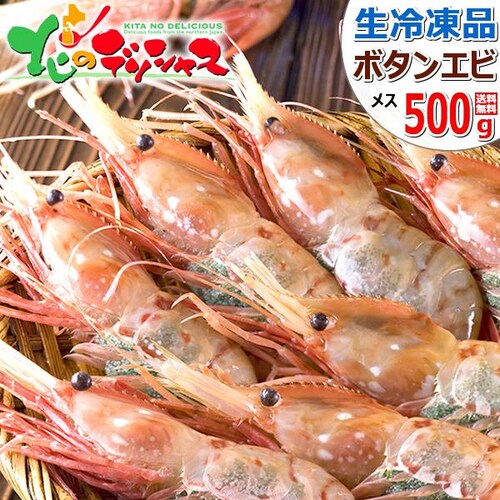 �{�^���G�r 500g (BFL/���X�q����/8-10������/���Ⓚ) �� �G�r �C�V ���h�g �M�t�g �k�C�� �����񂹁y������s�z_0