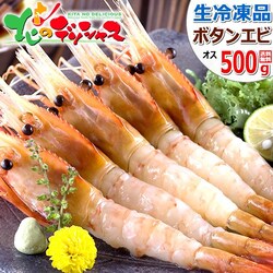 �{�^���G�r 500g (BL/�I�X/10-12������/���Ⓚ) �� �G�r �C�V ���h�g �M�t�g ���蕨 �k�C�� ������