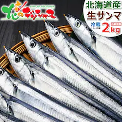 �y�\��z�k�C���Y ���T���} 2kg (12��-15������/�N�[���①) �V�N �� ����� �M�t�g �k�C�� ������