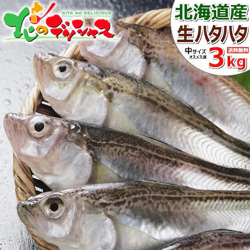 �y�\��z�k�C���Y ���n�^�n�^ 1�� 3kg (�I�X�����X�q��������/�①�i) �͂��͂� �Ԃ肱 �k�C�� ������_0