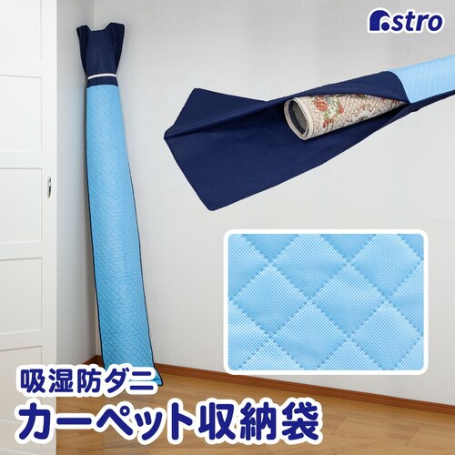 �h���C���h���C�z���h�_�j �J�[�y�b�g���[��_0