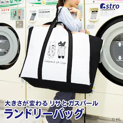 ���T�ƃK�X�p�[�� ���z�c������傫�ȃ����h���[�o�b�O