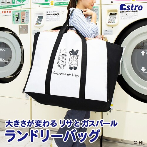 ���T�ƃK�X�p�[�� ���z�c������傫�ȃ����h���[�o�b�O_0