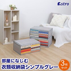 �ߗސ�����3���g�i�V���v���O���C�j