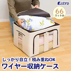 ���C���[���[�P�[�X 66L