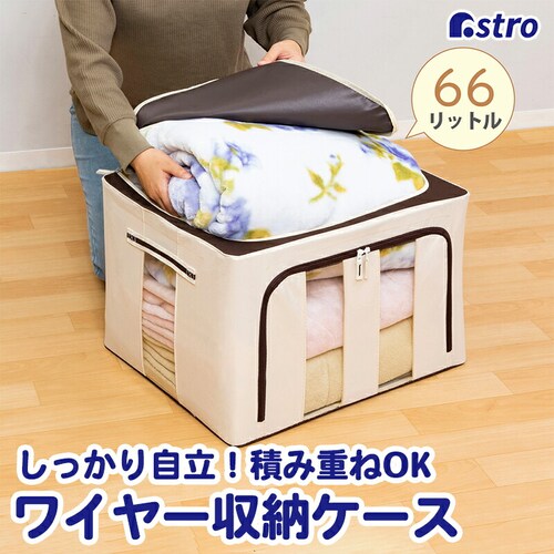 ���C���[���[�P�[�X 66L_0