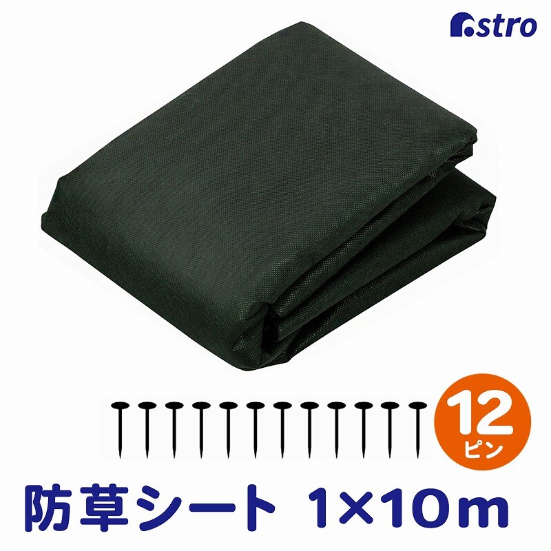 ���|�p�h���V�[�g1�~10���N�J���[���{�q�K��12�{�t��