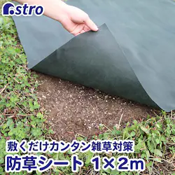 ���|�p�h���V�[�g�@1�~2��