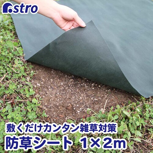 ���|�p�h���V�[�g�@1�~2��_0