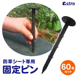 ���|�p�h���V�[�g�p�������s�� 60�{�g