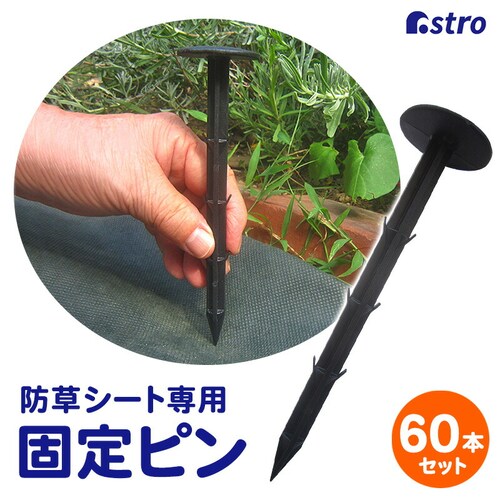 ���|�p�h���V�[�g�p�������s�� 60�{�g_0