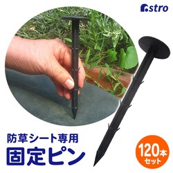 ���|�p�h���V�[�g�p�������s�� 120�{�g