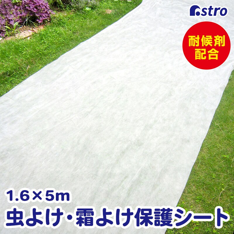 ���悯�E���悯�ی�V�[�g 1.6�~5m