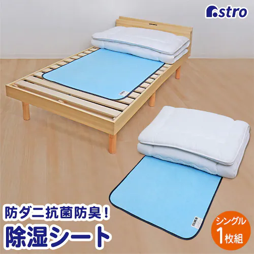 ドライ&ドライ 防ダニ抗菌防臭!吸湿マット シングル_0
