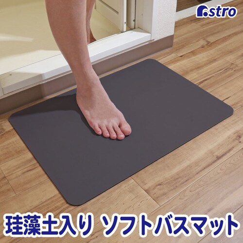 �]���y����\�t�g�o�X�}�b�g �O���[_0