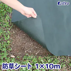 �h���V�[�g �O���[�� 1*10m 80