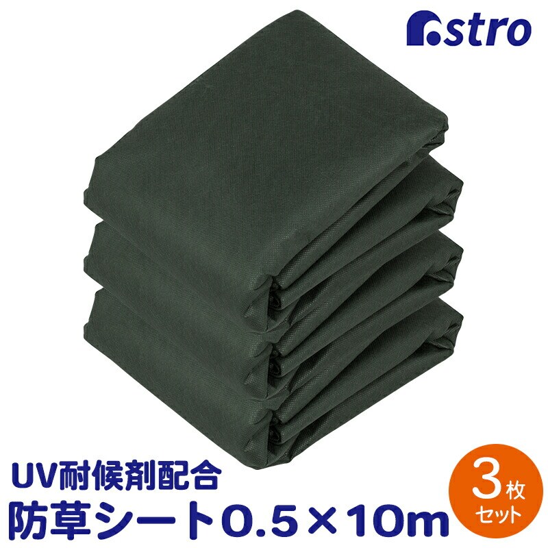 ���|�p�h���V�[�g 50cm�� 3�Z�b�g