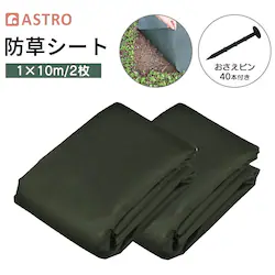 ���|�p�h���V�[�g 1�~10�� 2�Z�b�g+�������s��40�{�t��