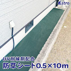 ���p�h���V�[�g�@�G���ӂ����E�l�@50cm�~10��