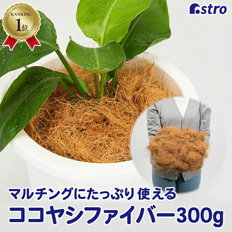 �R�R���V�t�@�C�o�[ 300g