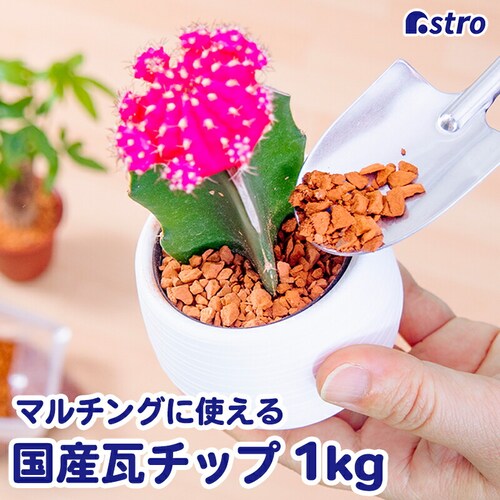 瓦チップ1キロ_0