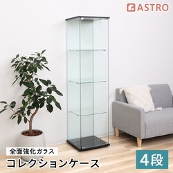 �K���X�R���N�V�����P�[�X 4�i