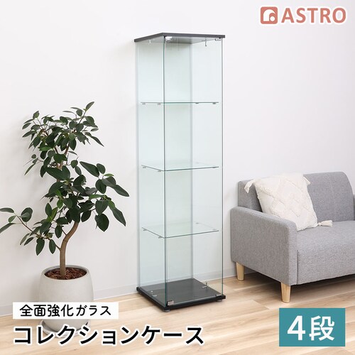 �K���X�R���N�V�����P�[�X 4�i_0