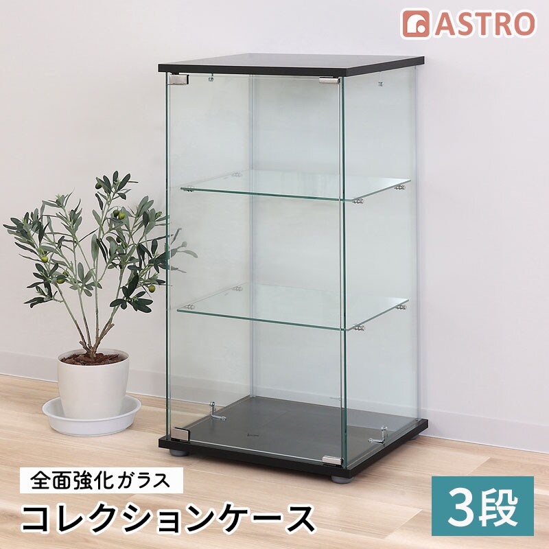 �K���X�R���N�V�����P�[�X 3�i