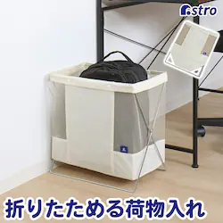 �T�C�h���S���@�A�C�{���[