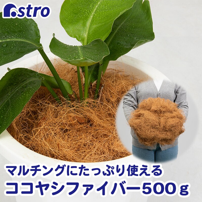 �R�R���V�t�@�C�o�[ 500g