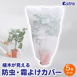 �A�؂������� �s�D�z�h���E���悯�J�o�[ 5���g