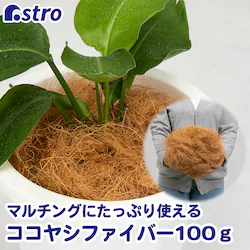 �R�R���V�t�@�C�o�[ 100g