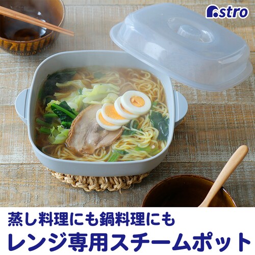 レンジでパパっと 2wayスチームポット レシピ付 SPT_0