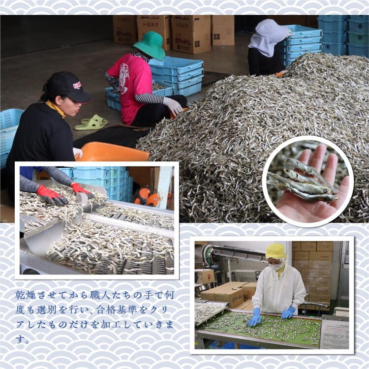 減塩小魚&クルミ 徳用BOX9
