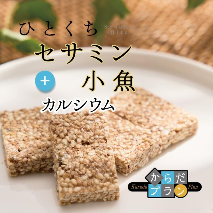 からだプラン ひとくちセサミン 小魚 徳用BOX1
