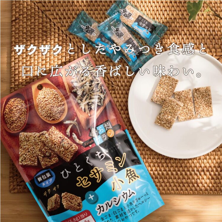 からだプラン ひとくちセサミン 小魚 徳用BOX5