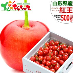 �y�\��z�R�`���Y �������� �g�� 500g (�I�n/�G�i/L�T�C�Y/�΂�l��/�N�[����) ������ �M�t�g