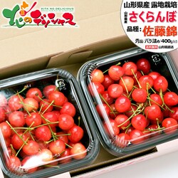 �y�\��z�R�`���Y �������� ������ 400g (�G�i/M�T�C�Y/�΂�l��/200g�~2p/���ϔ�����/�N�[���①)