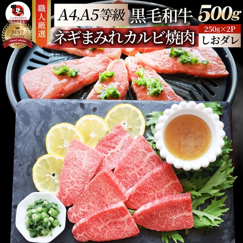 【しゃぶまる】A4,A5等級 特選 黒毛和牛 カルビ焼肉 500g ねぎまみれ 旨塩ダレ( A4 〜 A5等級 )牛肉 肉 食品 お祝い 霜降り 贅沢 黒毛 和牛 国産 祝い 記念 通販 グルメ 誕生_0