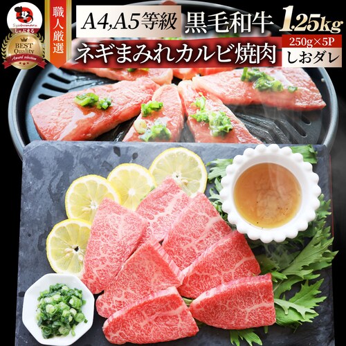 【しゃぶまる】A4,A5等級 特選 黒毛和牛 カルビ焼肉 1.25kg ねぎまみれ 旨塩ダレ( A4 〜 A5等級 )牛肉 肉 食品 お祝い 霜降り 贅沢 黒毛 和牛 国産 祝い 記念 通販 グルメ _0