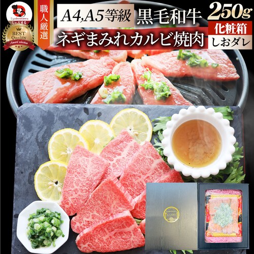 【しゃぶまる】A4,A5等級 特選 黒毛和牛 カルビ焼肉 250g ねぎまみれ 旨塩ダレ ギフトボックス付 牛肉 肉 食品 お祝い 霜降り 贅沢 黒毛 和牛 国産 祝い 記念 通販 グルメ 誕生日 焼_0