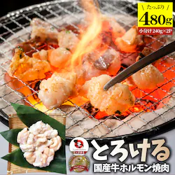 �y����Ԃ܂�z���Y�� �z������ 480g (240g�~2��) �ق���� ���� �ē��p ���� �ē� �₫�ɂ� �A�E�g�h�A ���Əē� ���W���[ �Ⓚ �o�[�x�L���[ �� �H�� �Z�b�g