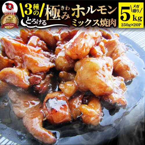 【しゃぶまる】三種 ホルモン ミックス 焼肉 5kg(250g×20パック)秘伝 タレ漬け バーベキュー BBQ お花見 花見 肉 焼くだけ 冷凍*当日発送対象_0