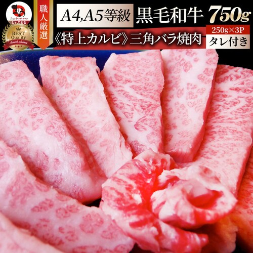 【しゃぶまる】肉 食品 お祝い A4,A5等級 特選 黒毛和牛 三角バラ カルビ焼肉 750g(250g×3) 焼肉のタレ付 凍眠 テクニカン ギフト プレゼント 牛肉 和牛 牛 牛 焼肉 カルビ B_0