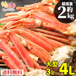 ���킢���� ���t���r 3L-4L �����d��1.6kg�i���d��2kg�j �{�C�� ���킢�I �Y���C�K�j �J�j�r �I�r �C�N ������