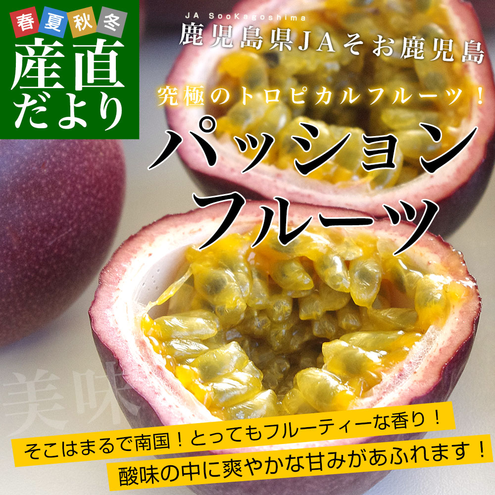 �����������Y�n���� JA���������� �p�b�V�����t���[�c 2L����3L�T�C�Y 1.2�L���i9�ʂ���12�ʁj �������� �g���s�J���t���[�c �]���y��������3������18���ȓ��ɔ������܂��z�@
