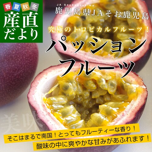 鹿児島県より産地直送 JAそお鹿児島 パッションフルーツ 2Lから3Lサイズ 1.2キロ(9玉から12玉) 送料無料 トロピカルフルーツ 曽於【ご注文後3日から18日以内に発送します】 _0