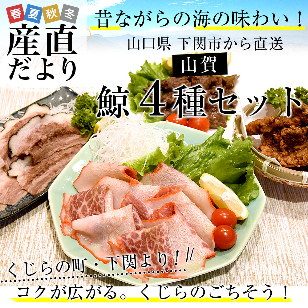 �R������蒼�� �R�� �~4��Z�b�g(B) ������ �~�x�[�R�� �~�^�� �~�ē� �~���c�g���@ �������� ���N�[���Ⓚ�ցy��������3������18���ȓ��ɔ������܂��z�@