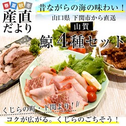 �R������蒼�� �R�� �~4��Z�b�g(B) ������ �~�x�[�R�� �~�^�� �~�ē� �~���c�g���@ �������� ���N�[���Ⓚ�ցy��������3������18���ȓ��ɔ������܂��z�@