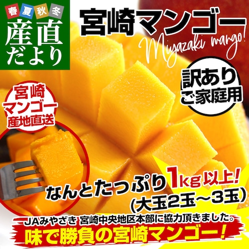 宮崎県より産地直送 JAみやざき宮崎中央地区本部 訳あり宮崎マンゴー 1キロ以上 (2玉から3玉) 送料無料【ご注文後3日から18日以内に発送します】_0
